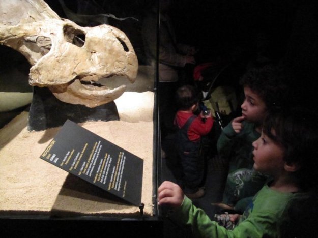 206927_136689019736473_100001861280506_239313_6568660_n