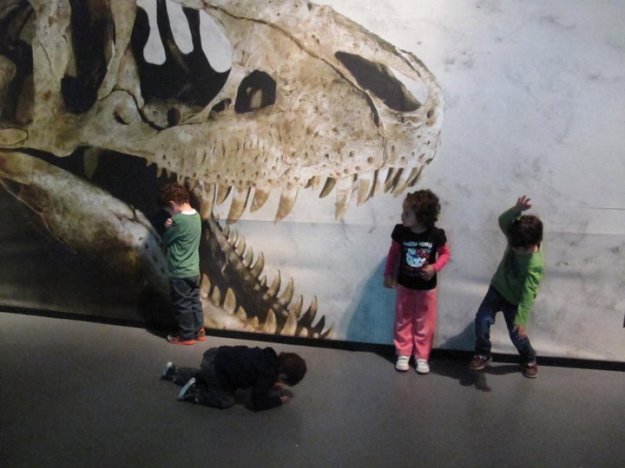 207626_136691889736186_100001861280506_239332_4701978_n