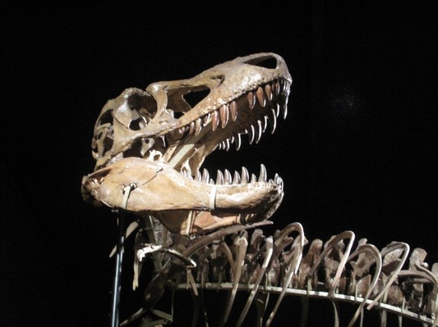 207926_1937315561052_1487273201_32177660_6746665_n