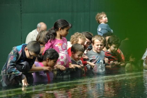 208049_136679999737375_100001861280506_239137_1916235_n