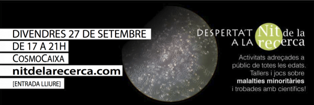 BANNER-e1379786878664